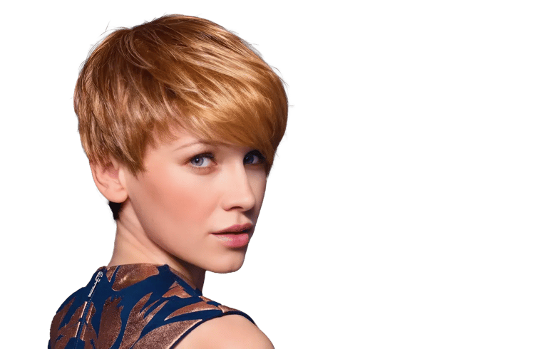 josephs-wigs-point-ellen-wille-hero